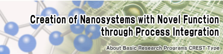 Creation of Nanosystems with Novel Functions through Process Integration
