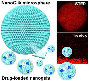 nanogel Fig.1
