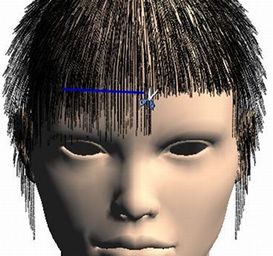 Hair Cut Simulation | PROJECTS