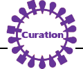 curation