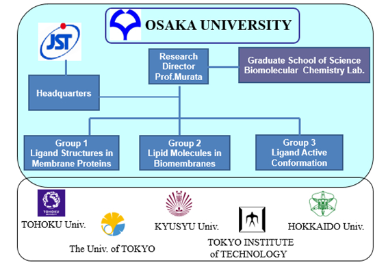 ERATO Project Organization Chart