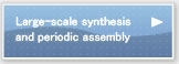 Large Scale Chemical Synthesis Group