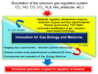 Biomedical application of gases for regulation of diseases