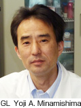 Group Leader　Yoji A. Minamishima