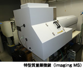 特型質量顕微鏡imaging MS