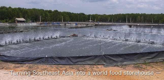 Improved aquaculture technology will save the world!