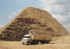 A pile of sugarcane wastes (bagasse)
			