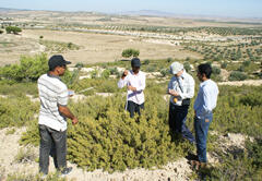 Conducting plant survey to estimate the density of useful plant resources