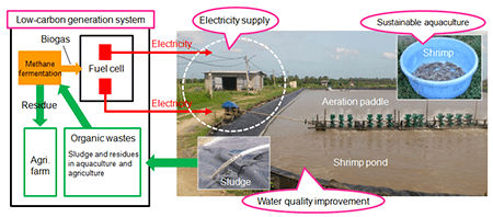 Energy circulation suitable for Mekong Delta region