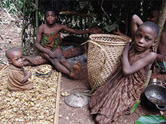 Girls drying Irvingia gabonensis nuts, the most important NTFP