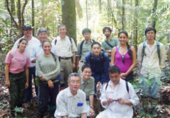 中央アマゾンの試験林（INPA）で炭素動態を  調査するプロジェクトメンバー