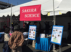 The 56th Sakura Matsuri 2016 - Japanese Street Festival 