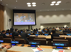 The first annual Multi-stakeholder Forum on Science, Technology and Innovation for the Sustainable Development Goals image