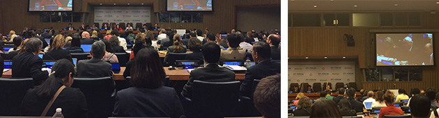The third annual Multi-stakeholder Forum on Science, Technology and Innovation for the Sustainable Development Goals image