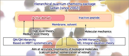 Hierarchical quantum chemistry package Gellan（since 2002）