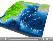 Computer Simulation of the 2004 Chuetsu Niigata Earthquake using the Earth Simulator