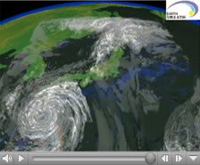 Result of non-hydrostatic ultrahigh-resolution coupled atmosphere-ocean model - Typhoon ETAU in 2003