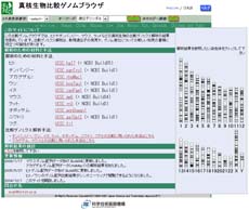 ヒト、チンパンジー、マウス、ラット等の生物のDNA配列を並べて比較 -真核生物比較ゲノムブラウザ-