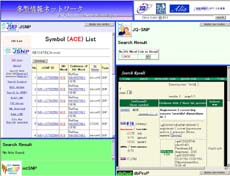4つの多型データベースを同時に検索可能 -多型情報ネットワーク-