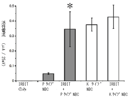 図２　アフリカツメガエルの卵母細胞に強制発現したNBCの電気生理学的な活性評価