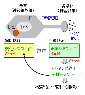 図２