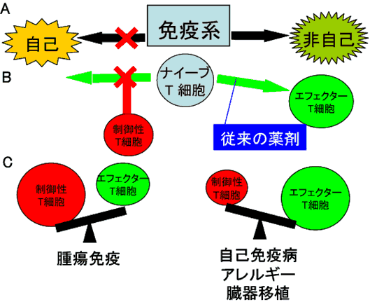 図１