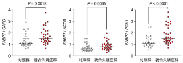 図10　ヒト死後脳前頭葉におけるFABP7遺伝子の発現