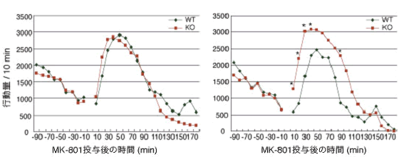 図8 MK-801(NMDA受容体の拮抗薬)投与で誘発される行動量