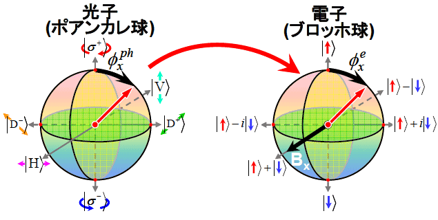 図１