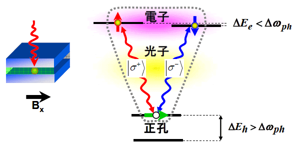 図２