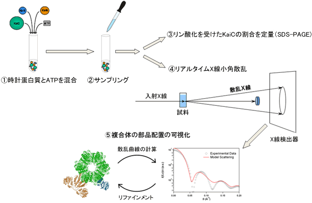 図1