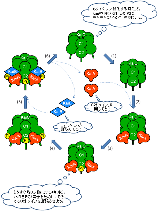 図4