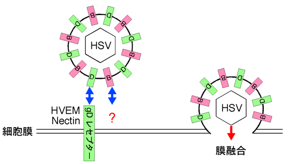 図1