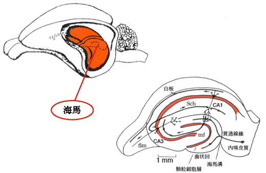 図2