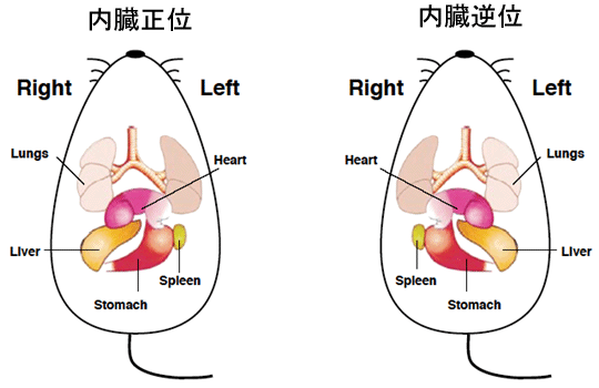 図4