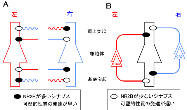 図5