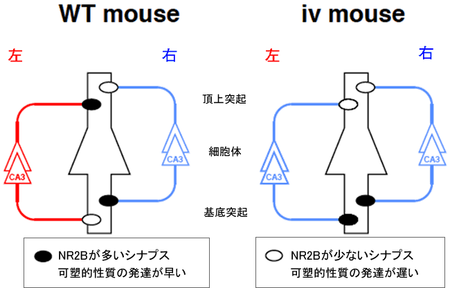 図6