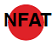 活性化状態のNFAT：脱リン酸化されて核に局在