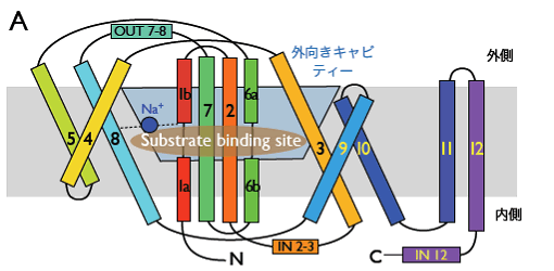 図1