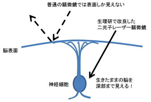 図1