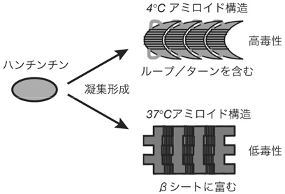 図3