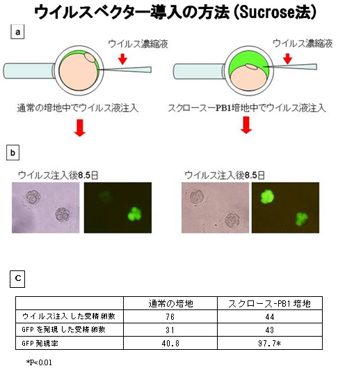 図1