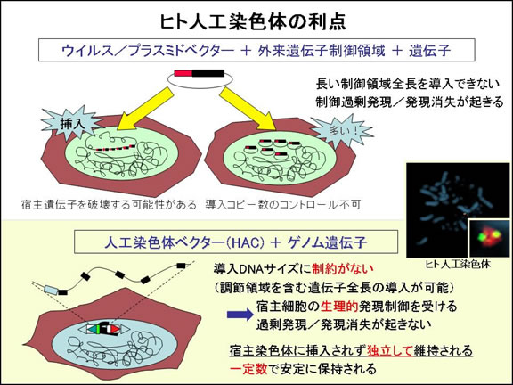 図４