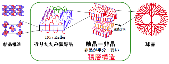 図１