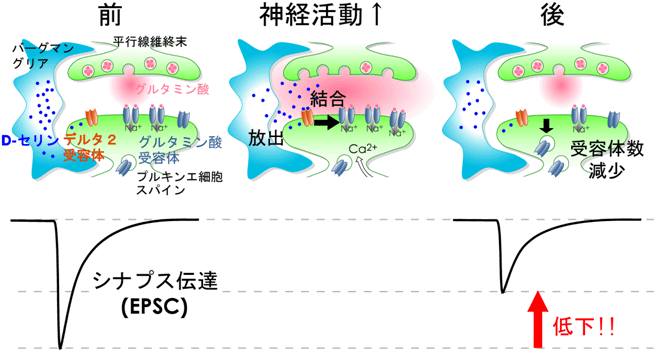 図４