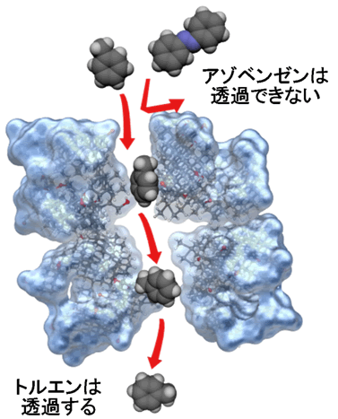 図３