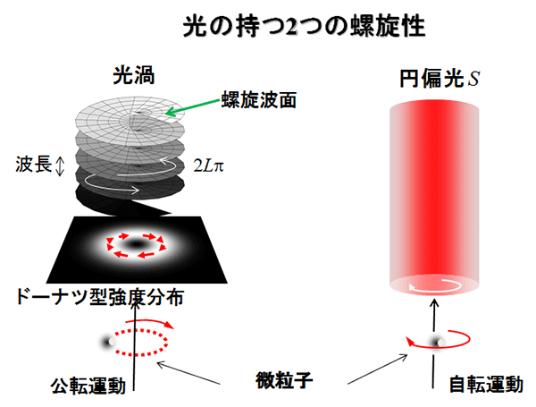 図１