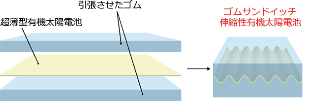 図４　ゴムサンドイッチ構造による高い耐水性を持つ伸縮性有機太陽電池