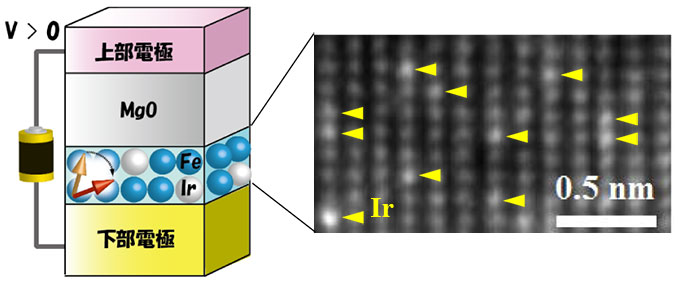 今回用いた素子構造の模式図（左）とＦｅＩｒ超薄膜磁石の電子顕微鏡像（右）