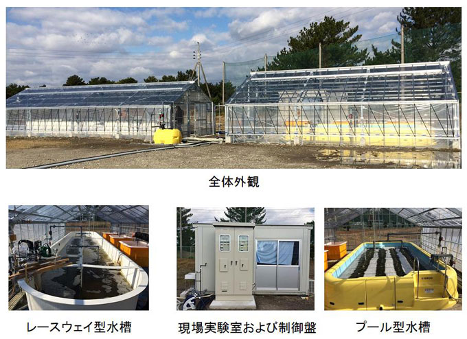 図２　姫路市の下水道管理センター「大的析水苑」に完成した培養施設